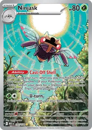 Ninjask image