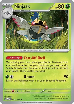 Ninjask image