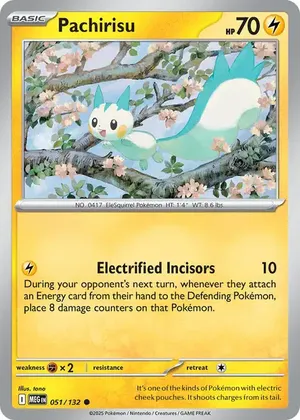 Pachirisu image