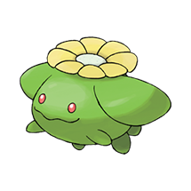Skiploom